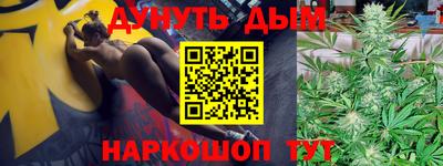 молекула духа Шелехов