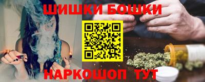 молекула духа Шелехов