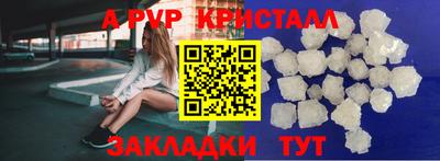 молекула духа Шелехов